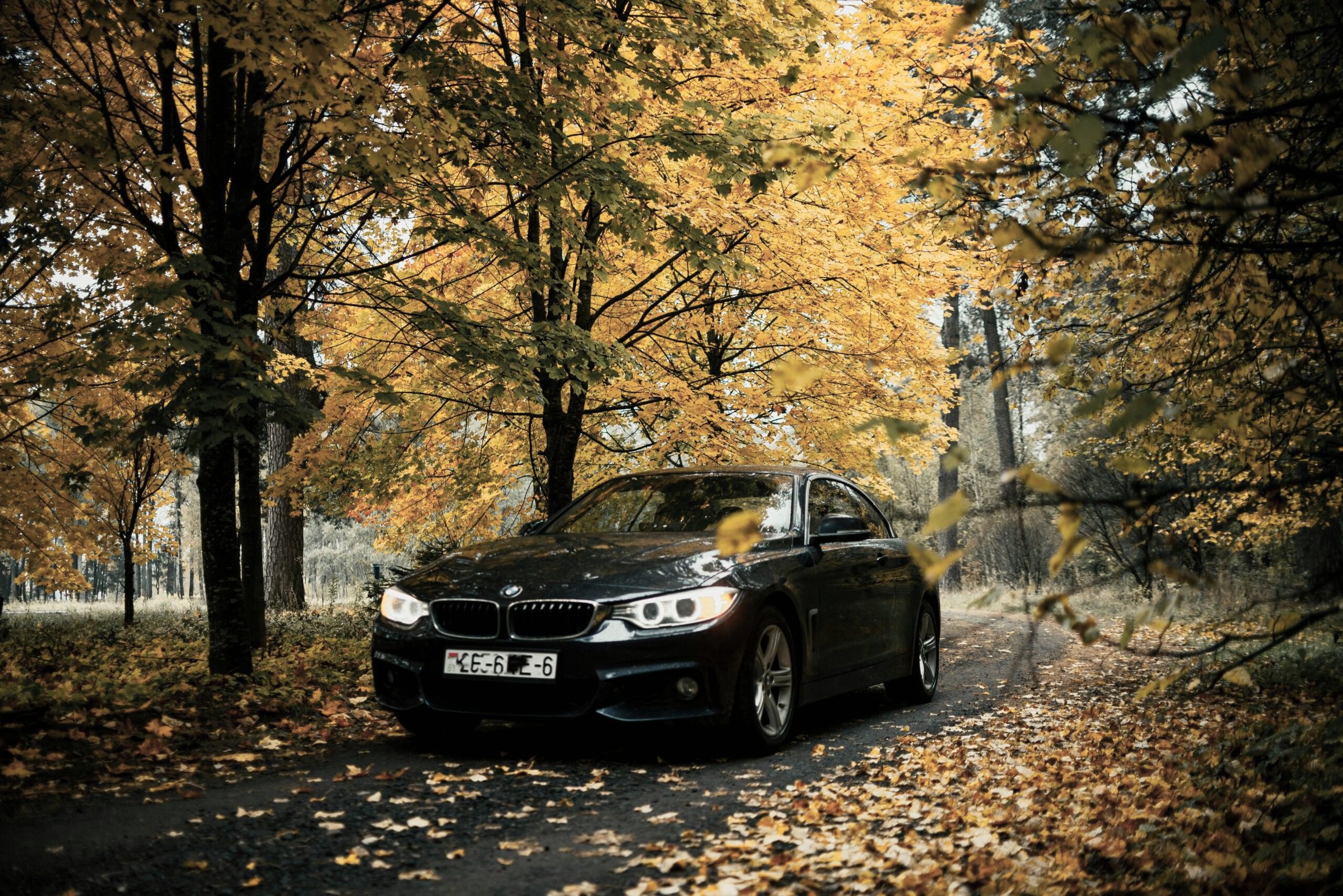 Transports pavadītājiem